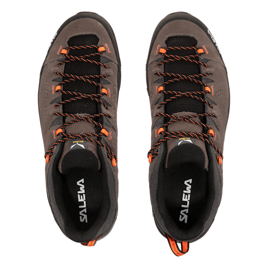 Alp Trainer 2 Shoe Men perspective_view image