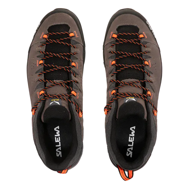 Alp Trainer 2 Shoe Men perspective_view image