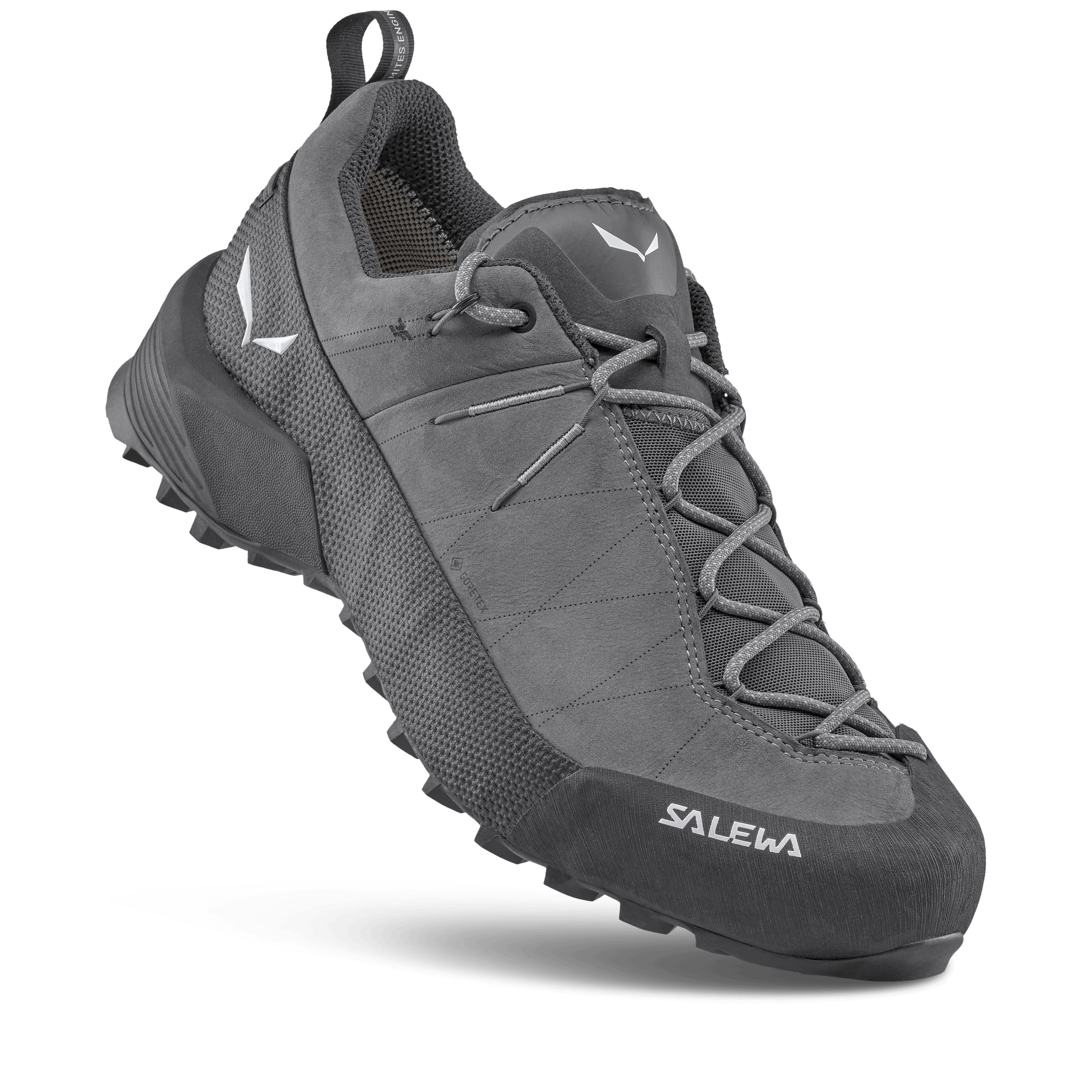 Wildfire Leather 2 GORE-TEX® Schuh Herren  perspective_view image