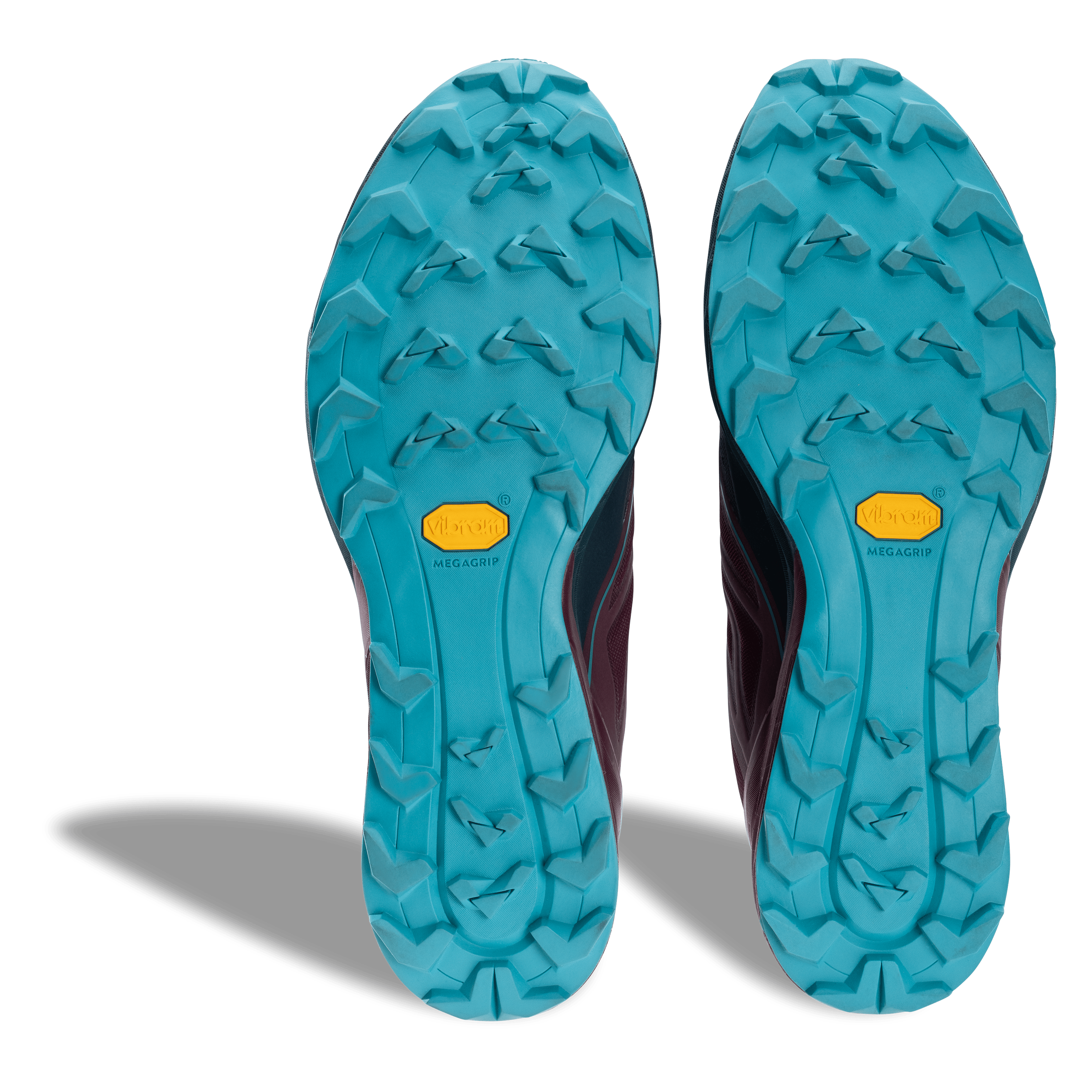 Alpine scarpa running uomo perspective_view image