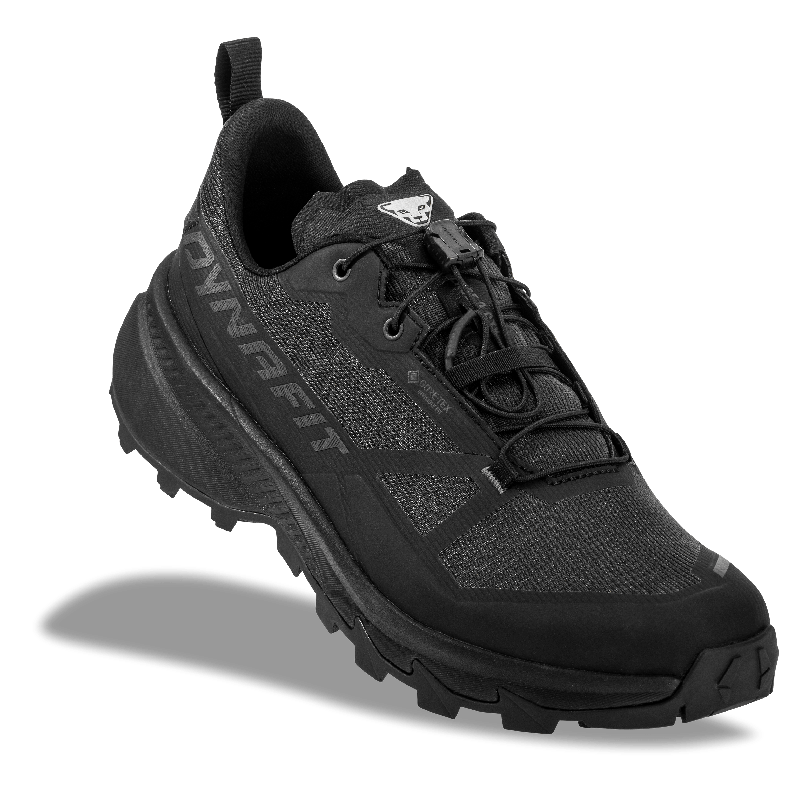 Traverse 2 GTX Mountaineering Schuh Herren perspective_view image