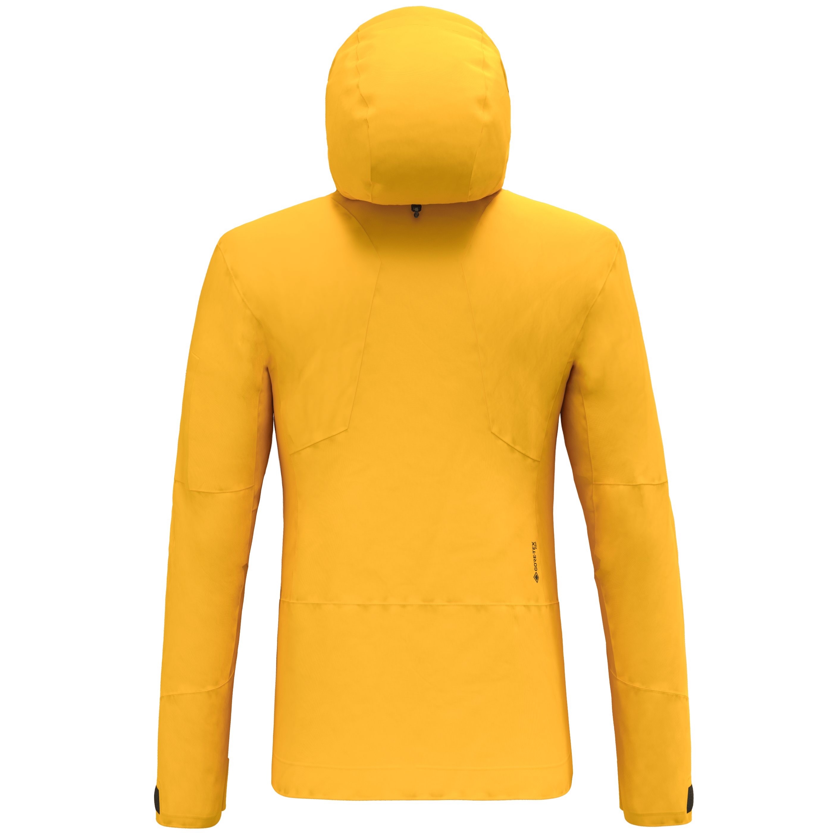 Ortles Gore-Tex® Pro Giacca Uomo perspective_view image