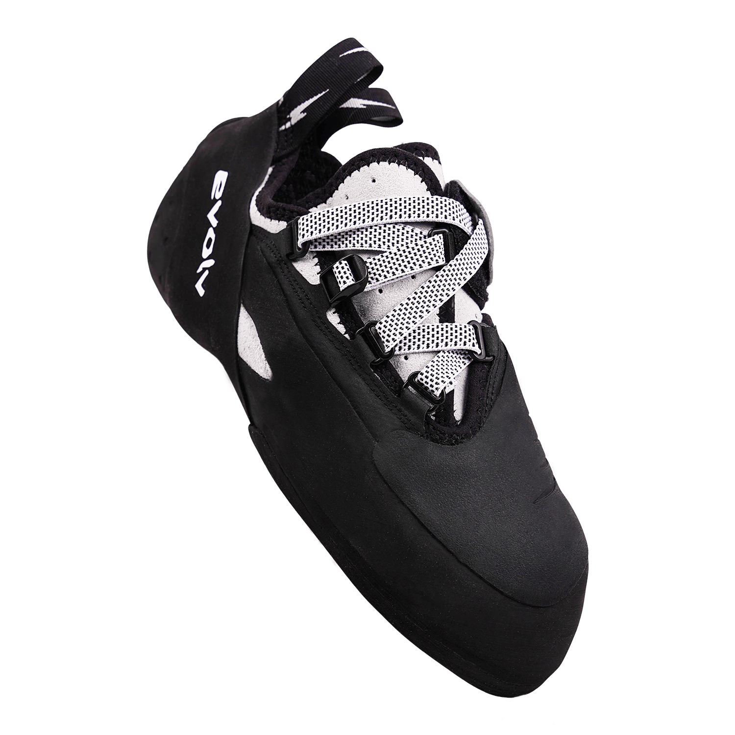 Phantom LV perspective_view image