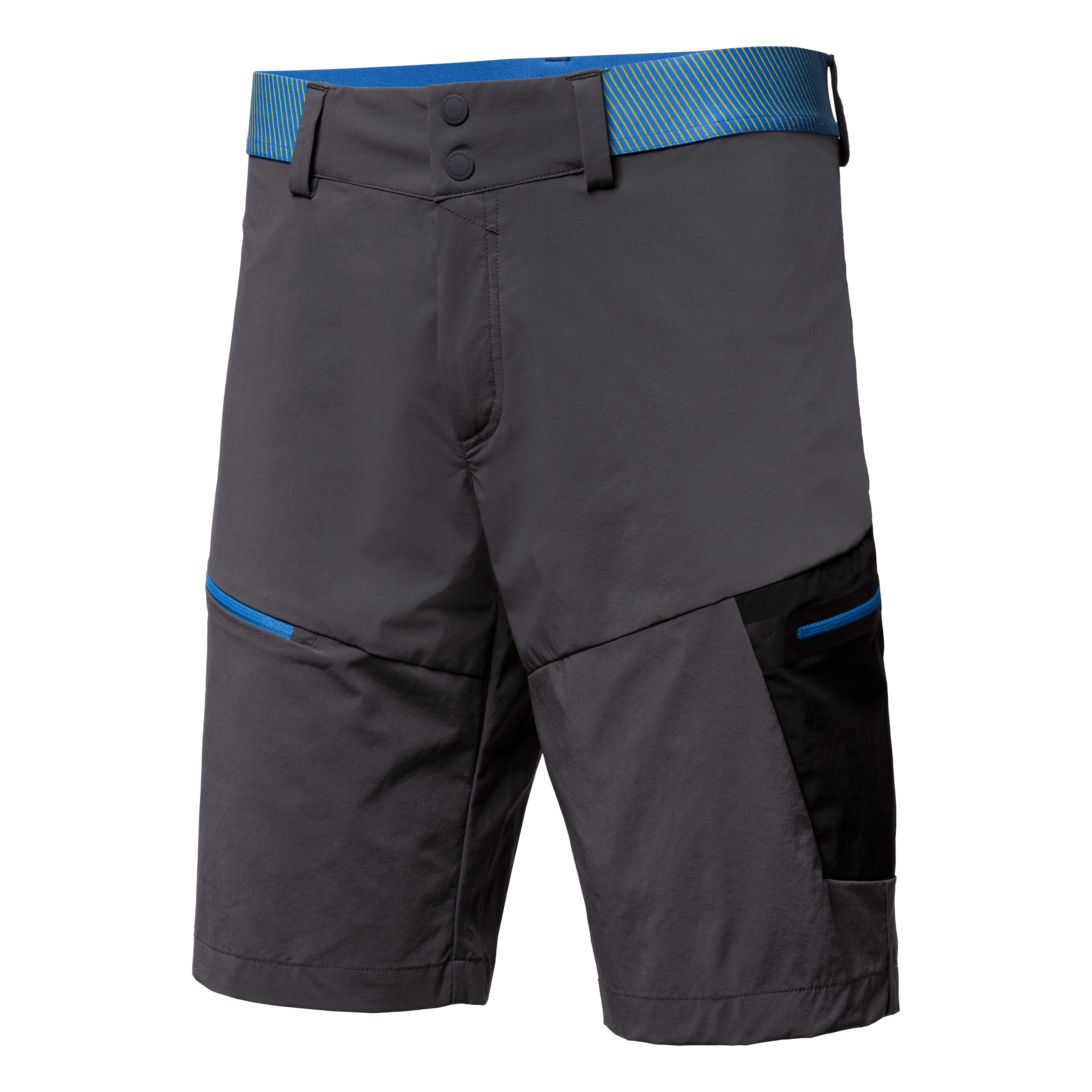 Pedroc Cargo 2 Durastretch Herren Shorts still image