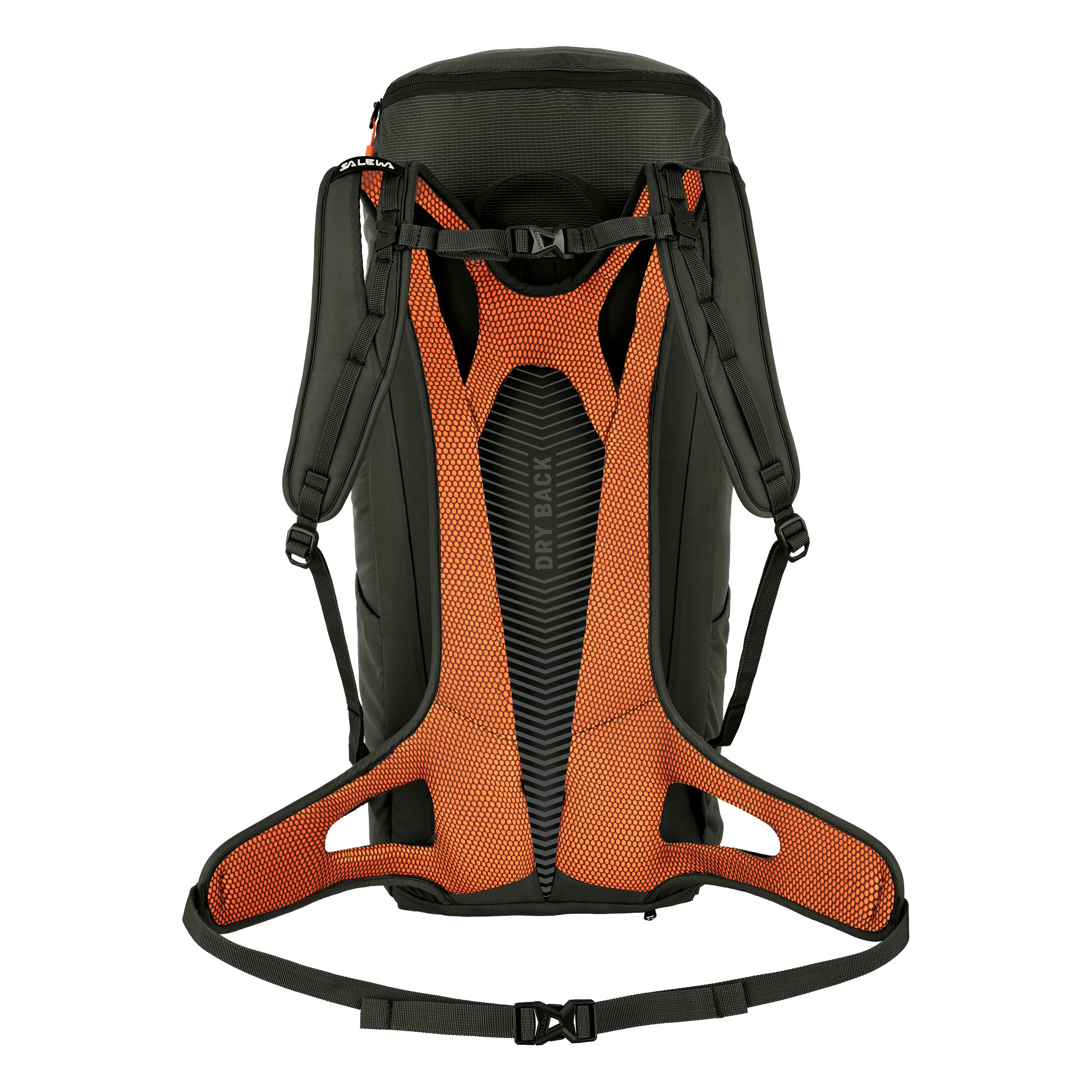Alp Mate 36L Backpack perspective_view image