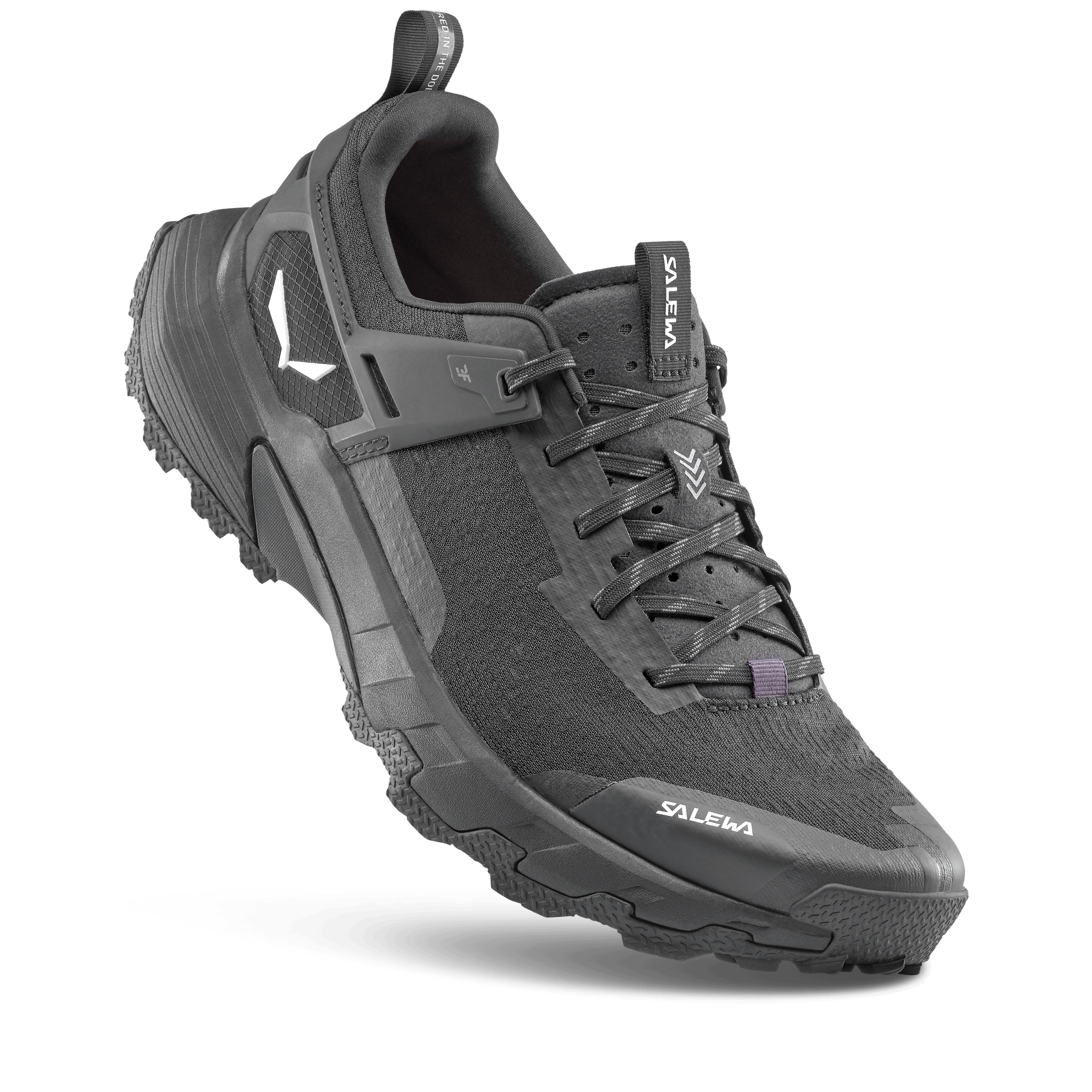 Pedroc 2 Schuh Herren perspective_view image