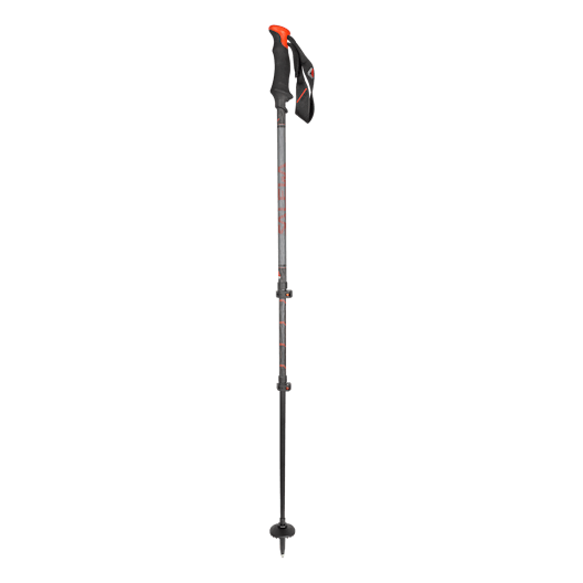 Carbonium Tour Poles still image
