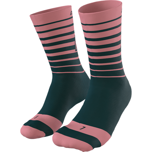 Live To Ride Socks Unisex still image