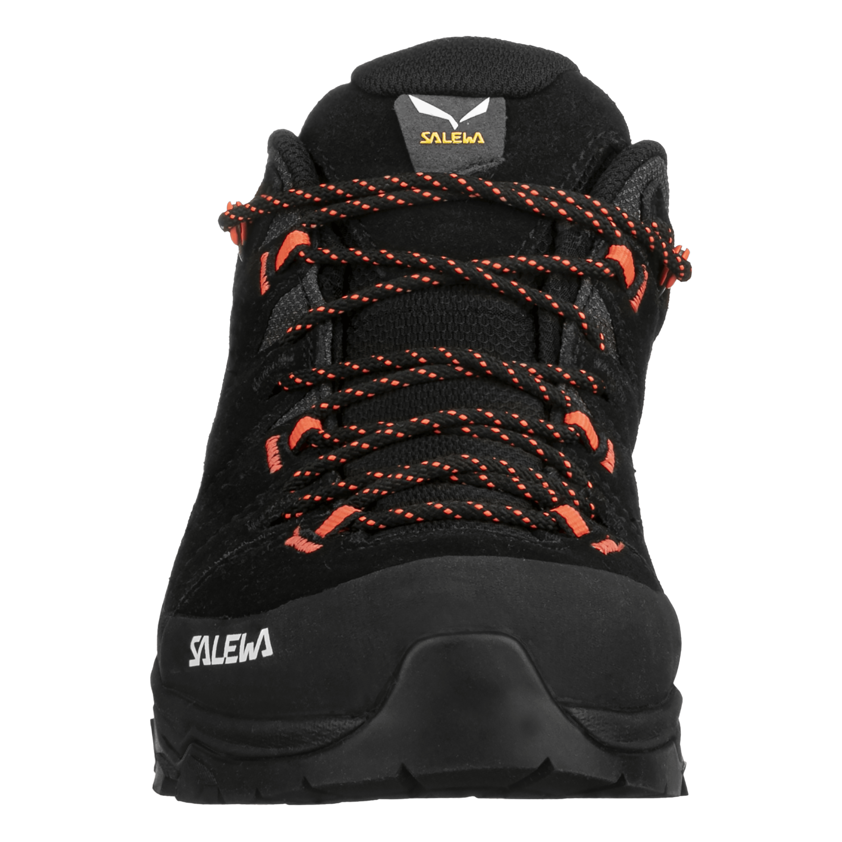 Alp Trainer 2 Gore-Tex® Zapatilla Mujer perspective_view image