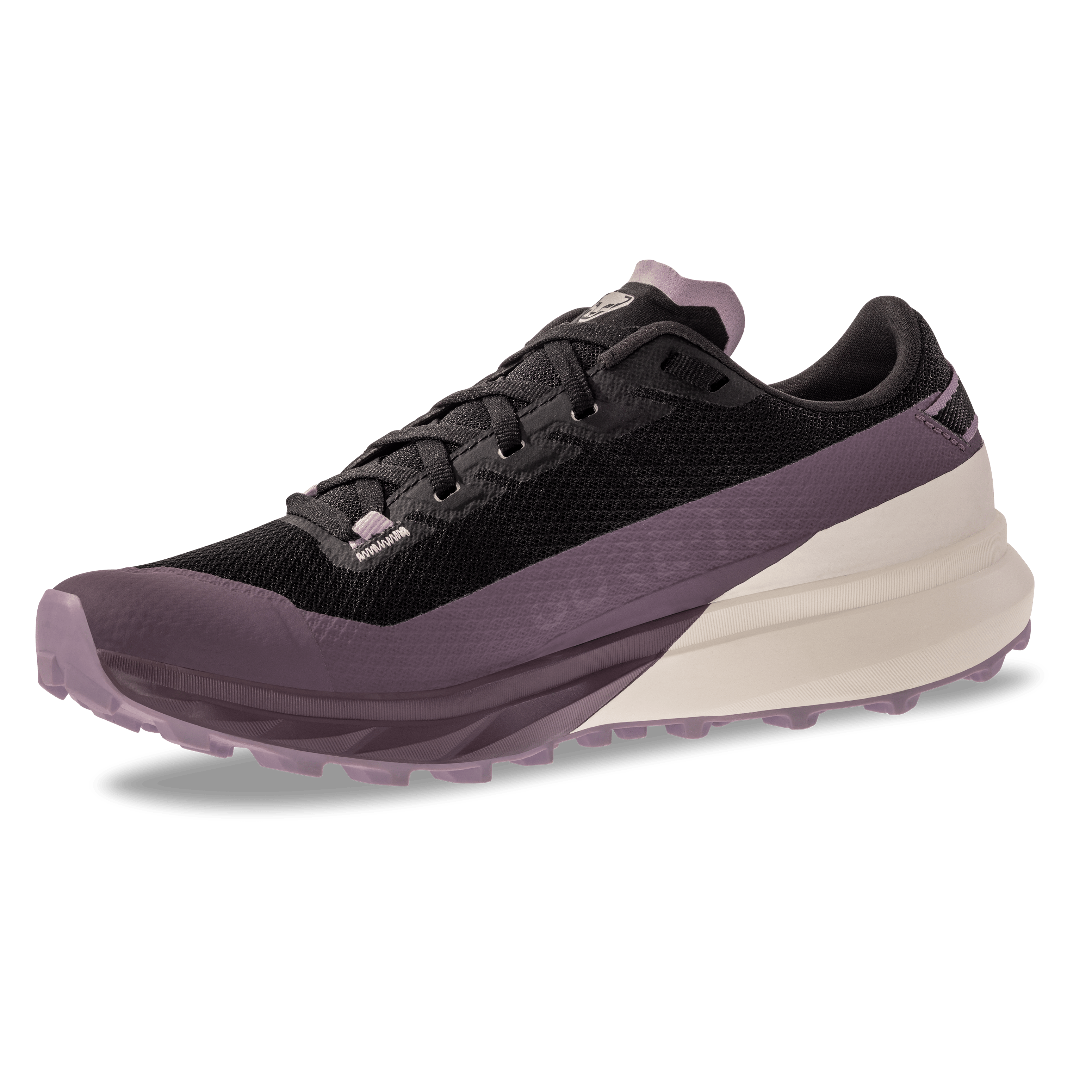 Chaussure running Ultra GTX femmes perspective_view image