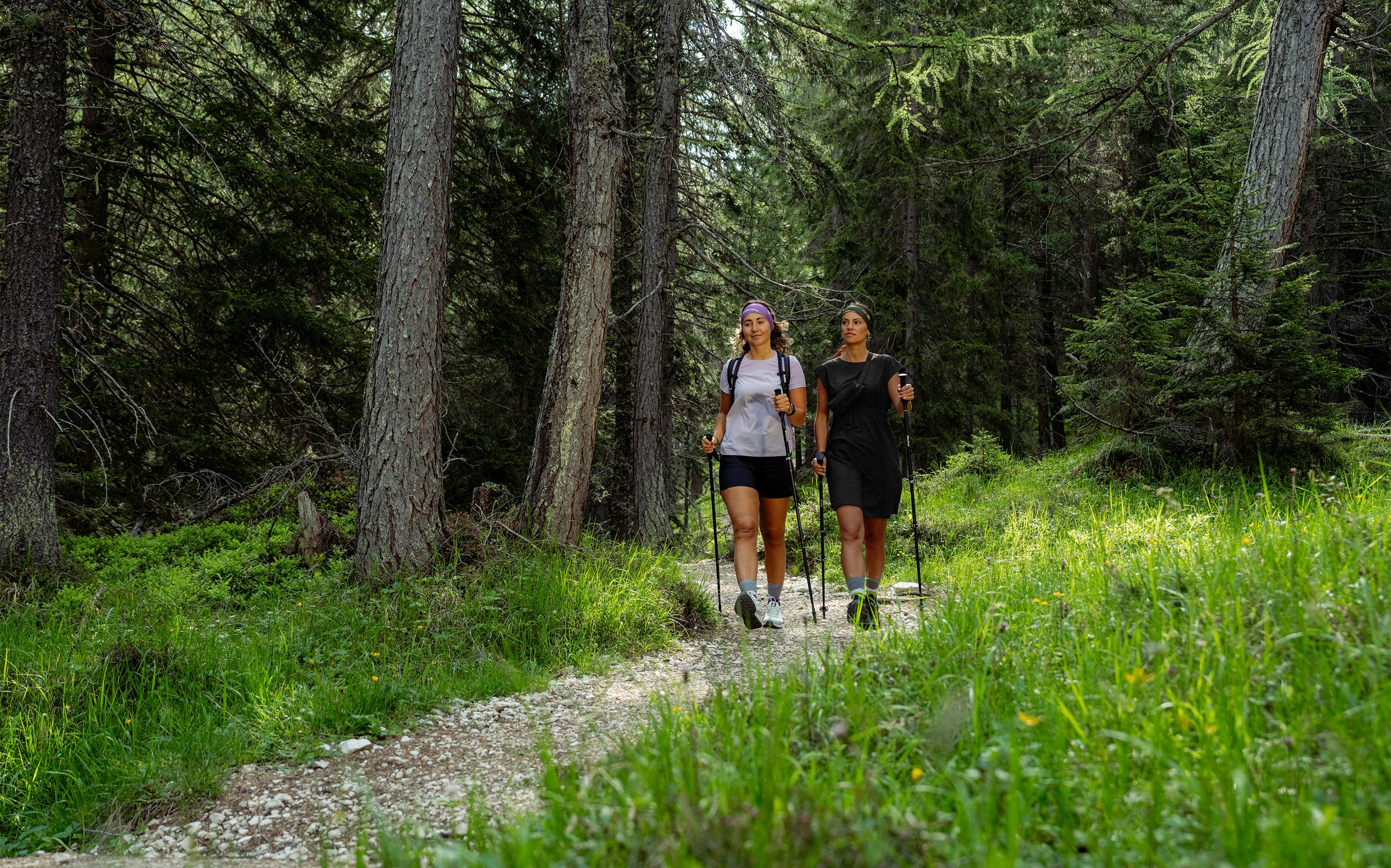 Teresa Kleid horizontal image