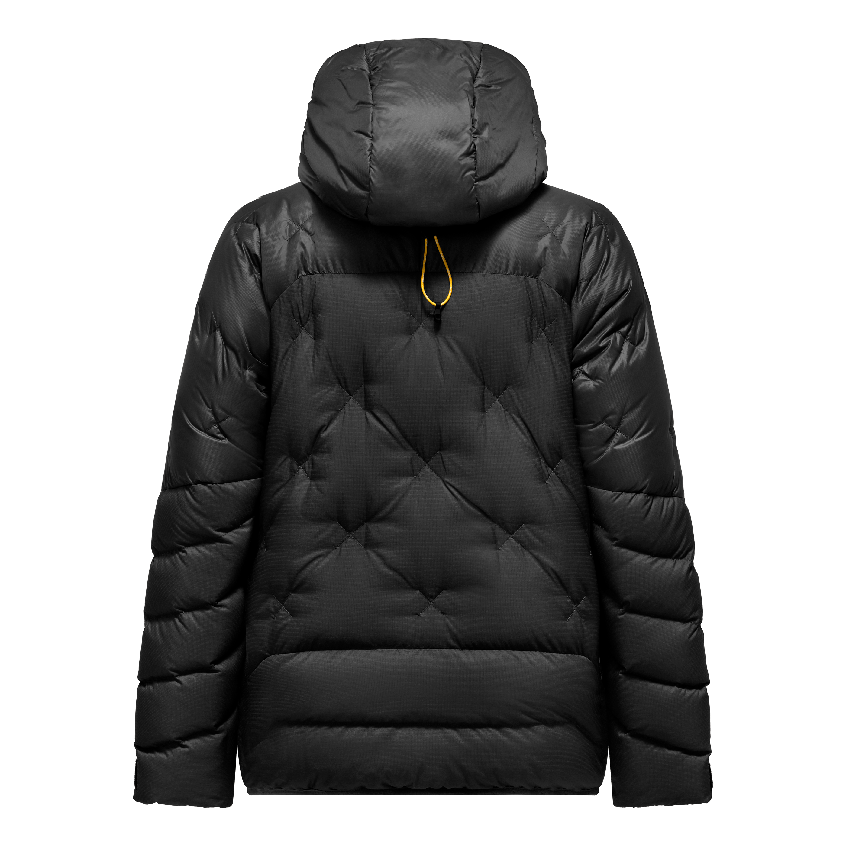 Ortles Heavy RDS Down Pro Jacket Woman perspective_view image