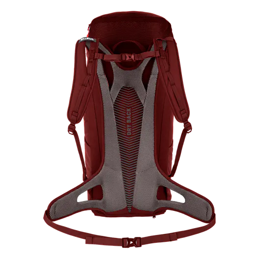 Alp Mate 24L Backpack Women perspective_view image