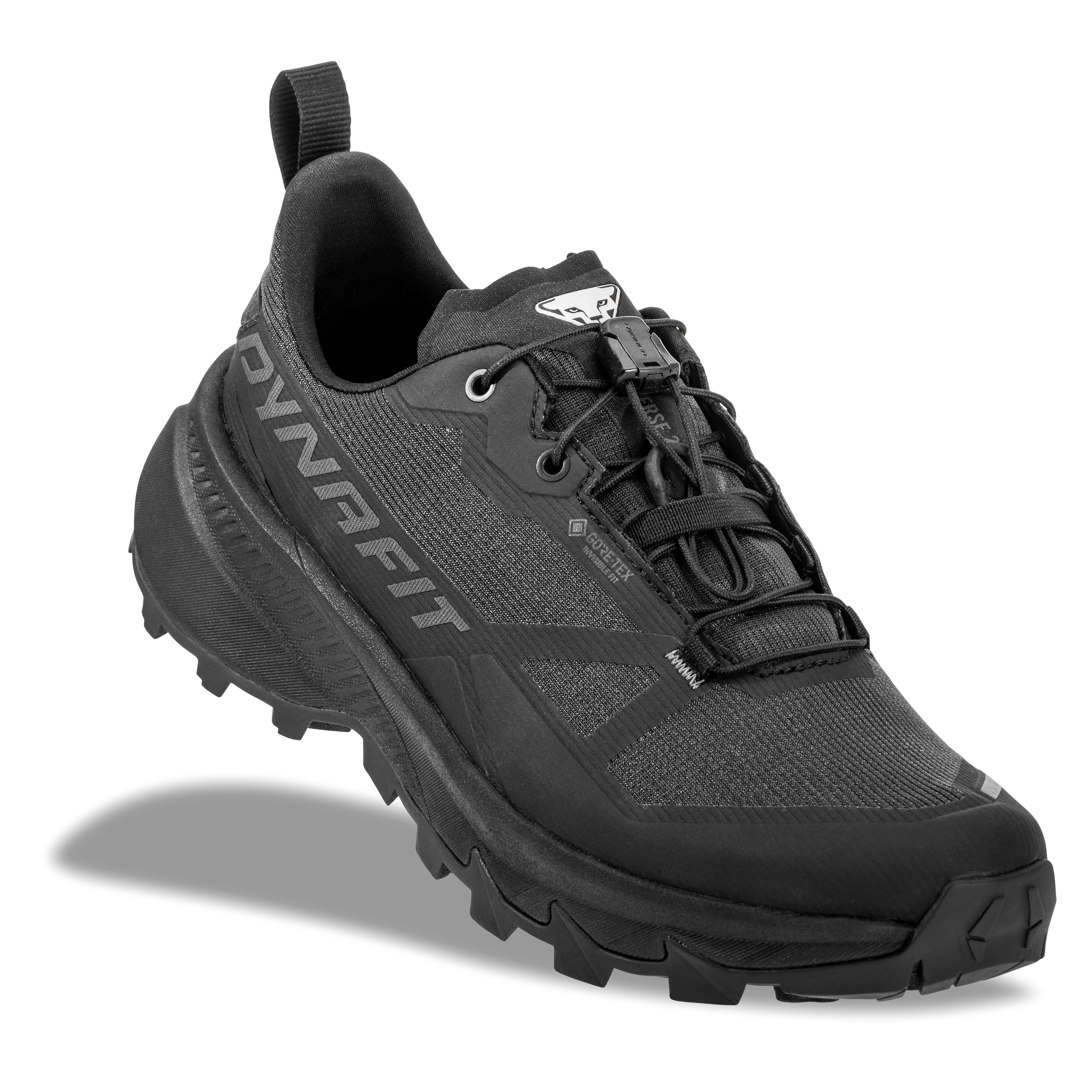 Traverse 2 GTX Mountaineering Schuh Herren perspective_view image