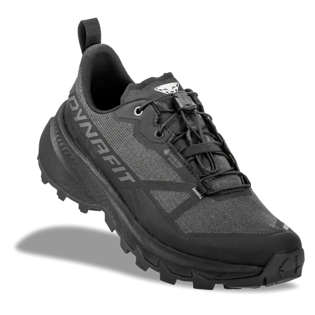 Traverse 2 GTX Mountainieering Shoe Woman perspective_view image