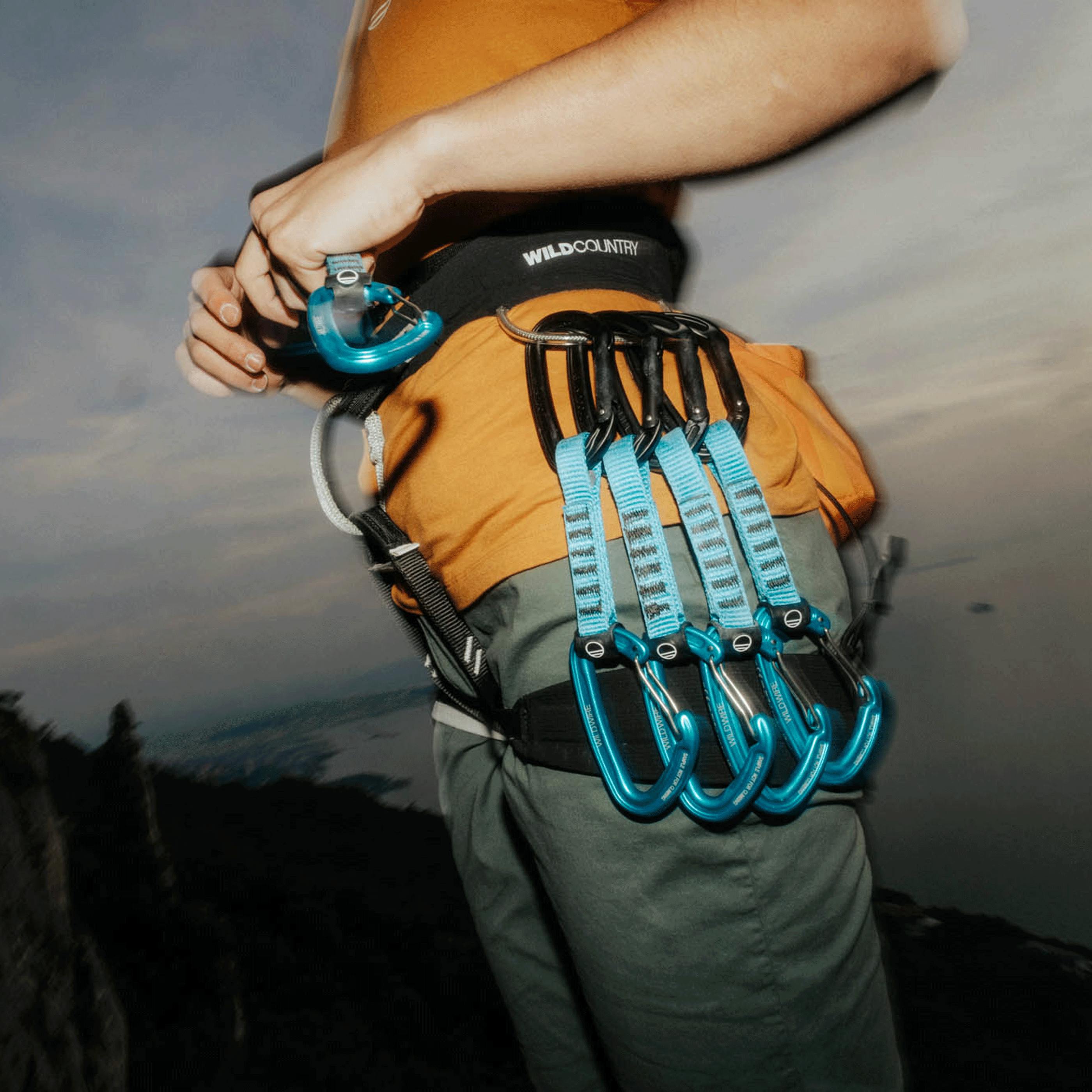 Wildhybrid Expressset 6X12Cm perspective_view image