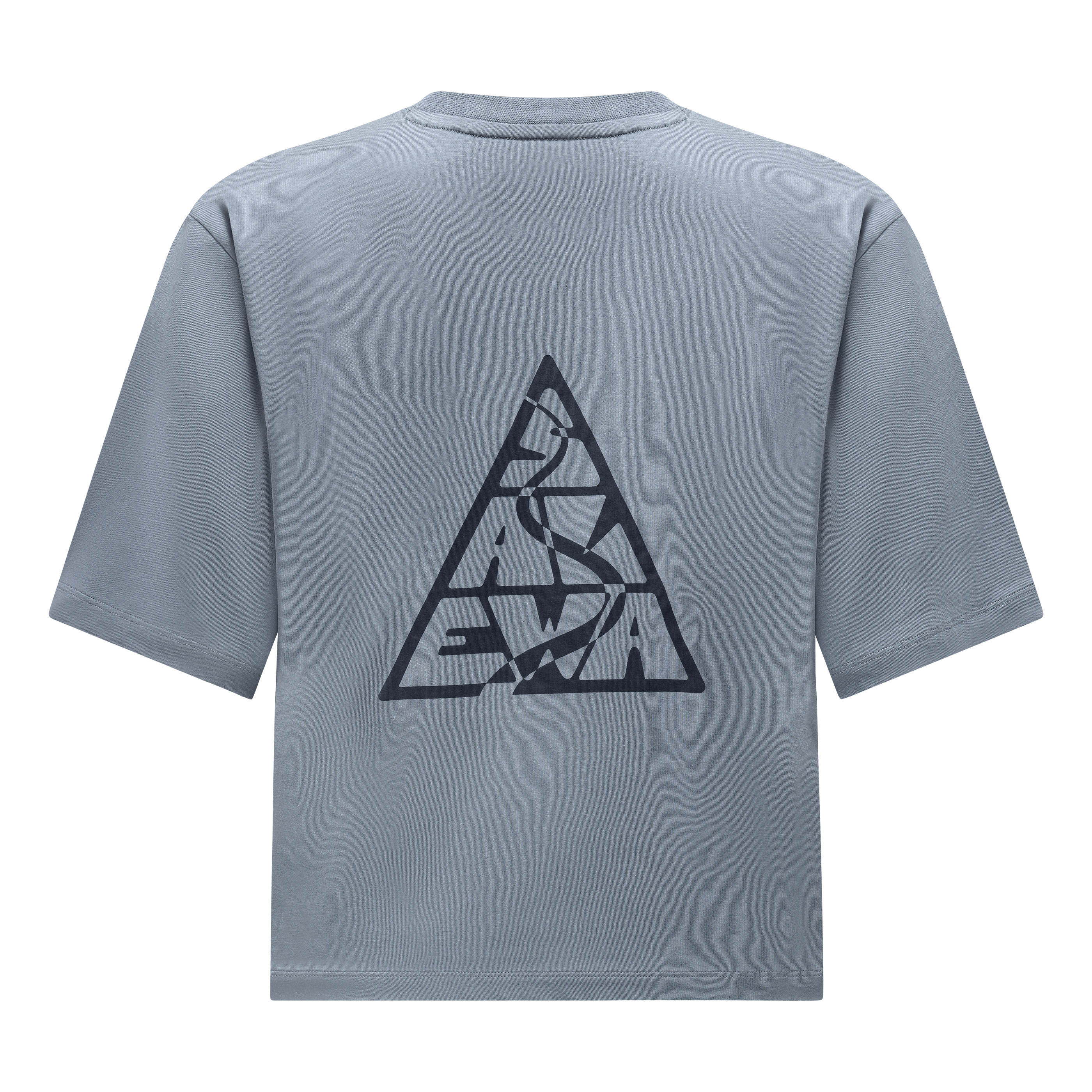 Eagle Loose T-Shirt Femme perspective_view image