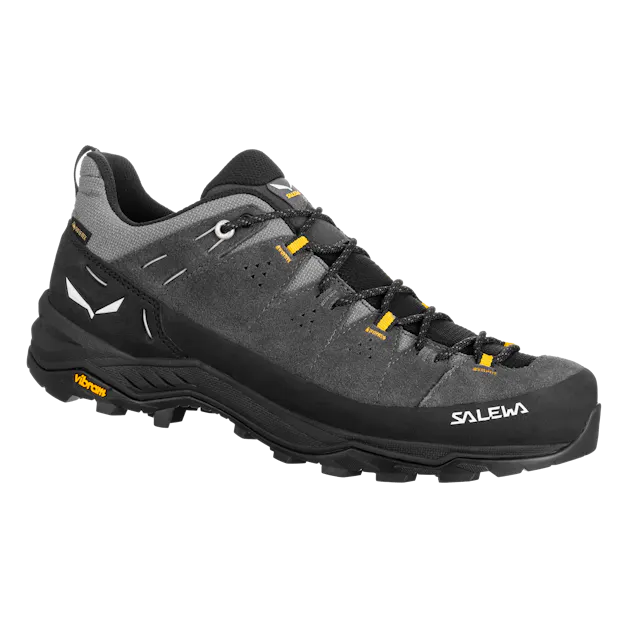 Alp Trainer 2 Gore-Tex® Shoe Men still image