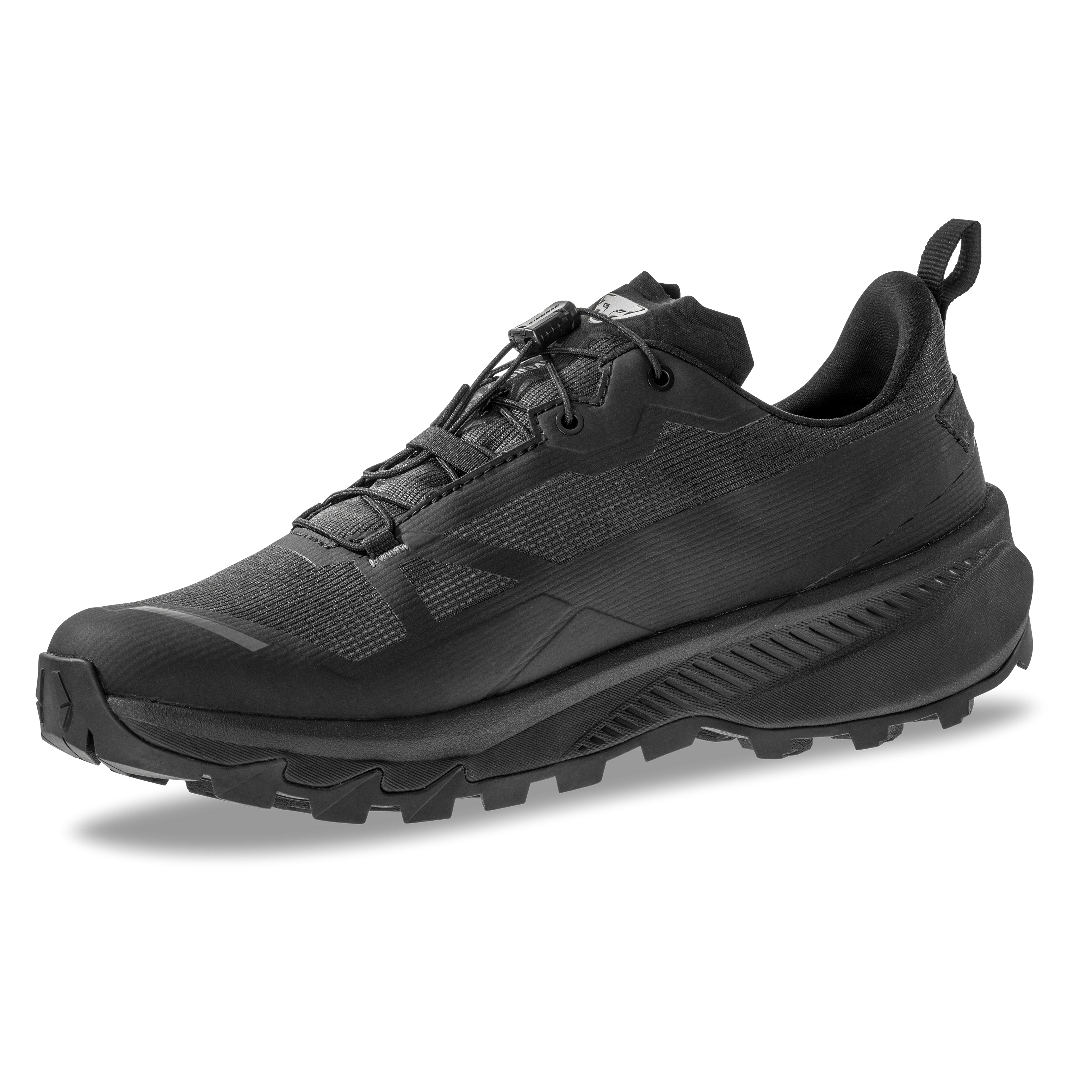 Traverse 2 GTX Mountaineering Schuh Herren perspective_view image