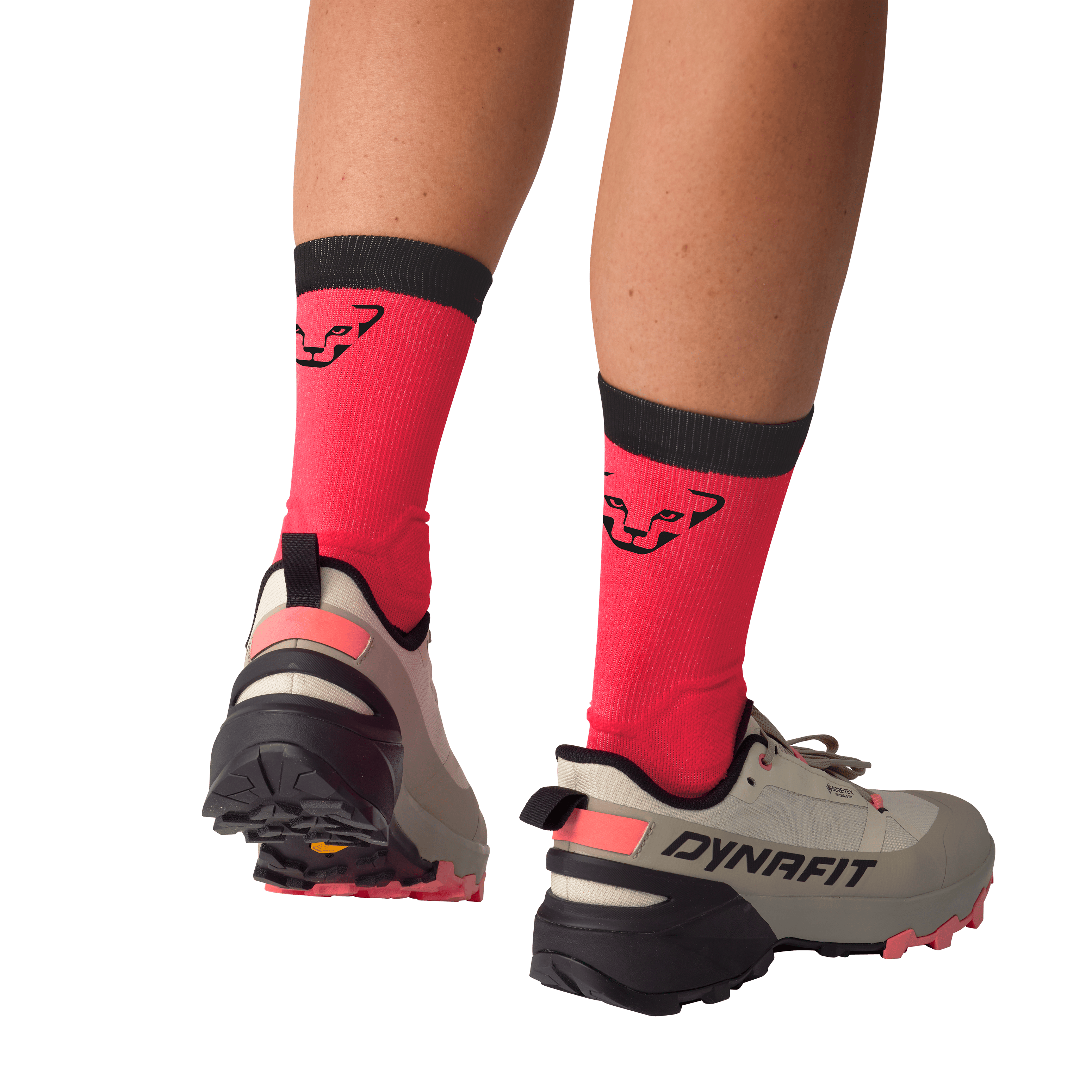 Transalper 2 GORE-TEX® Mountaineering Schuh Damen perspective_view image