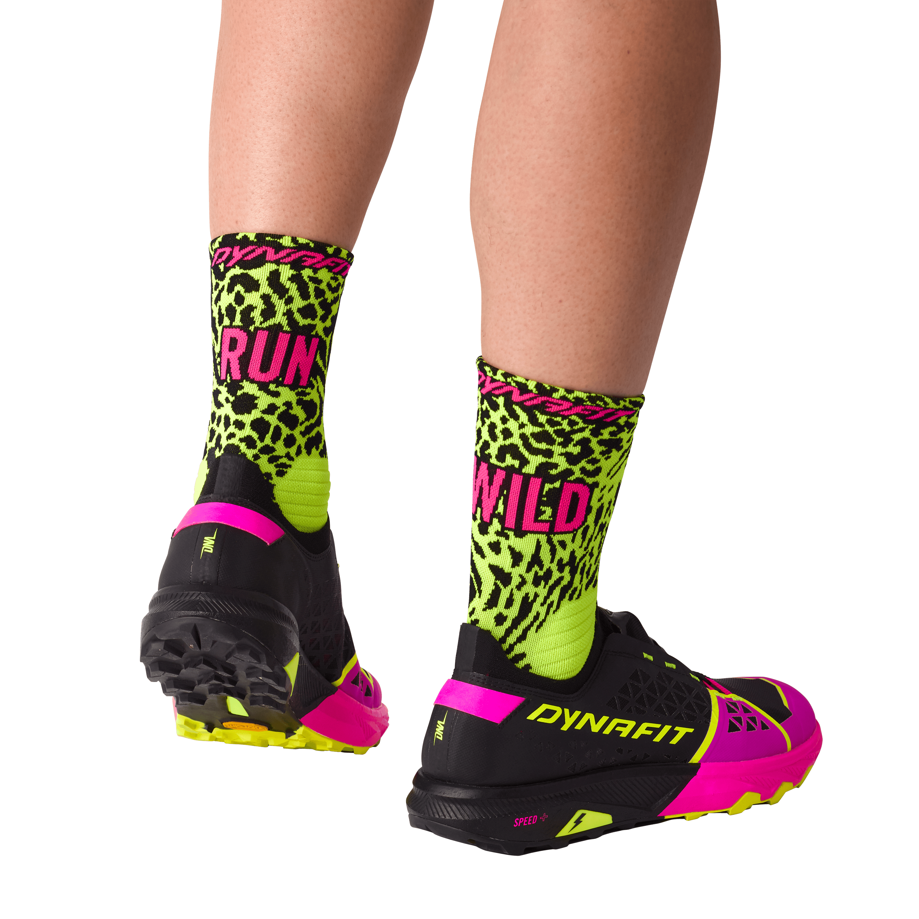 Alpine DNA 2 Unisex | Dynafit® International