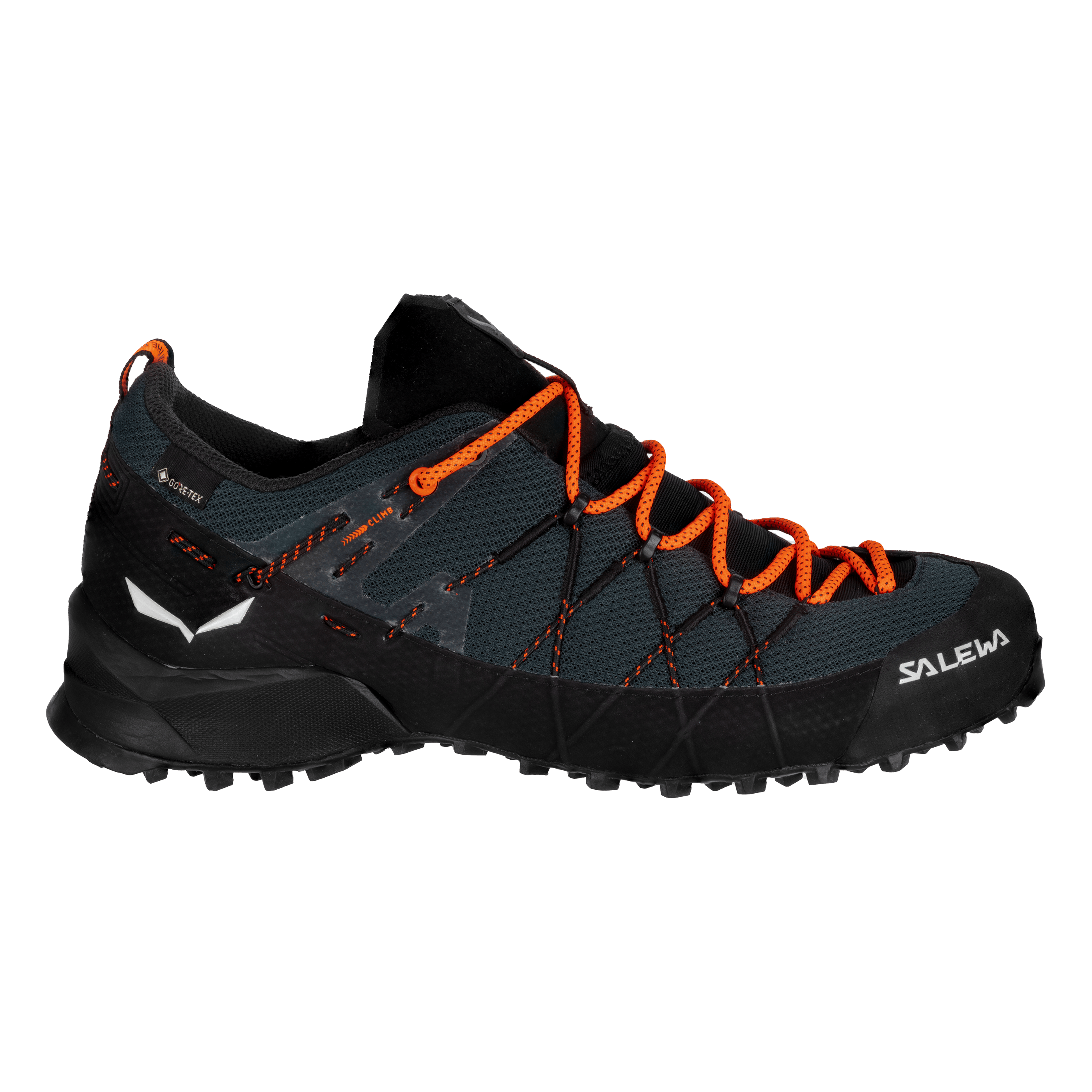 Wildfire Gore-Tex® Shoe Men Salewa® International