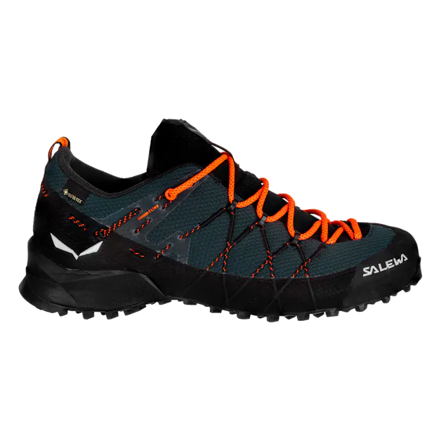 Wildfire 2 Gore-Tex® Schuh Herren perspective_view image