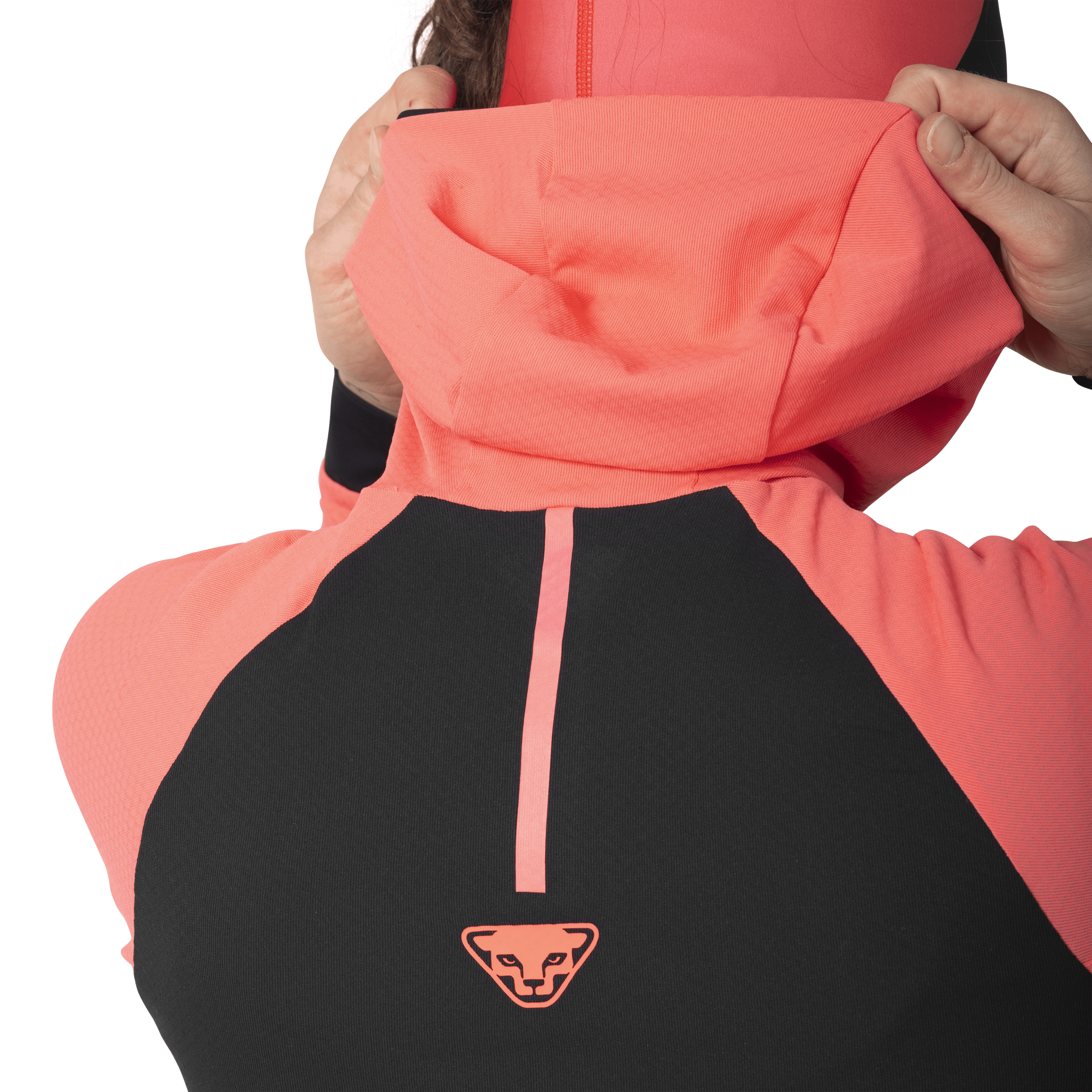 Alpine Long Sleeve Tee Women tech_detail image