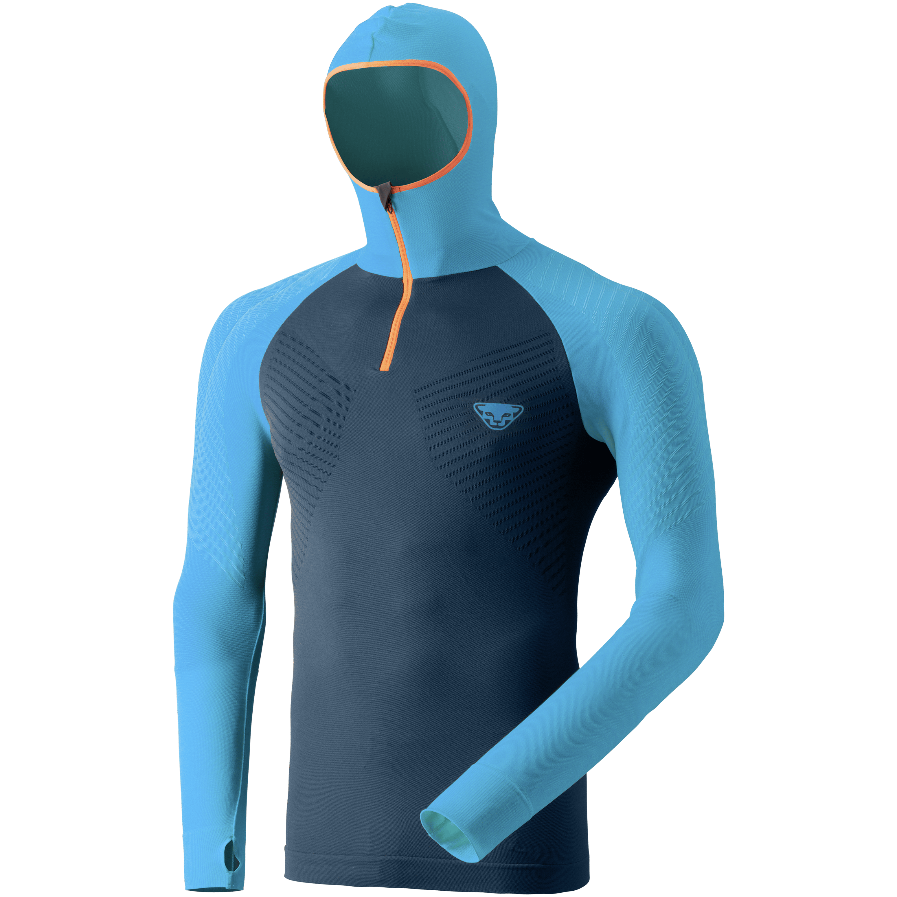 FT Dryarn® Warm Hoody Herren still image