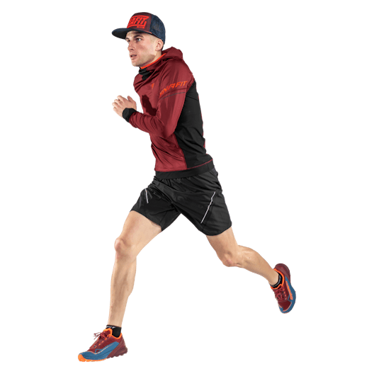 Alpine Pro 2in1 Shorts Men on_body image