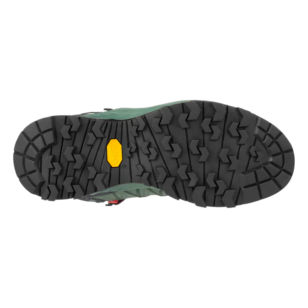 Alp Trainer 2 Mid GORE-TEX® Women's Shoe perspective_view image
