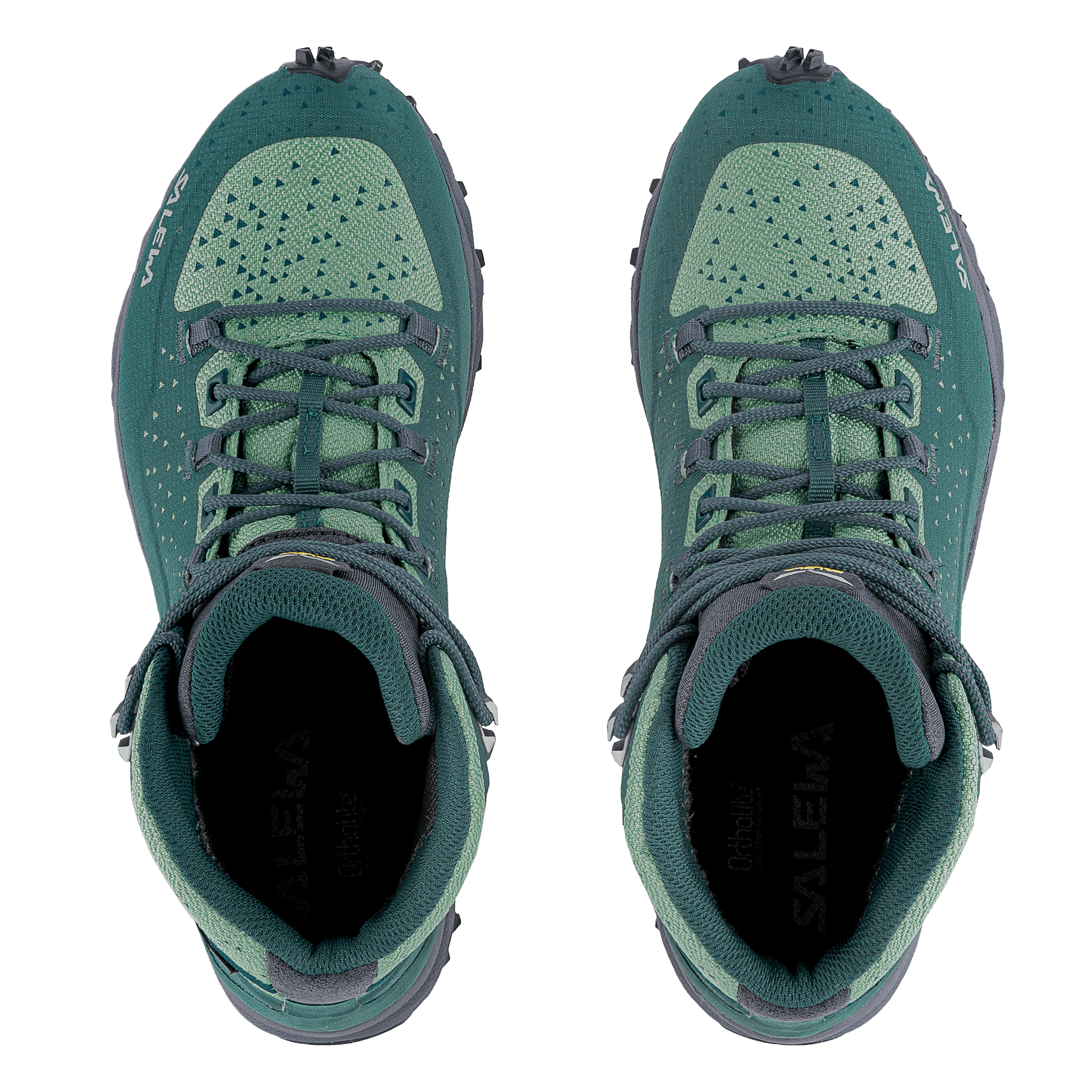 Alpenrose 2 Mid GORE-TEX® Zapatillas Mujer perspective_view image