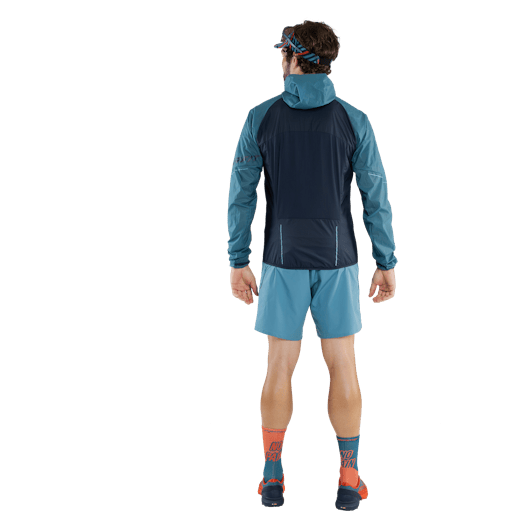 Alpine Shorts Men perspective_view image