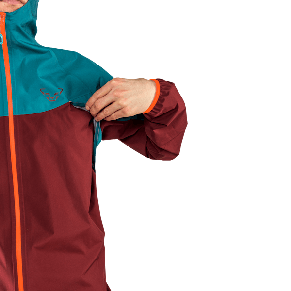 Alpine GORE-TEX Jacket Men