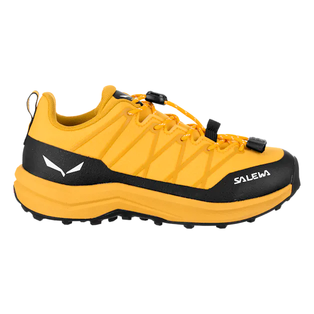Wildfire 2 Schuh Kinder perspective_view image