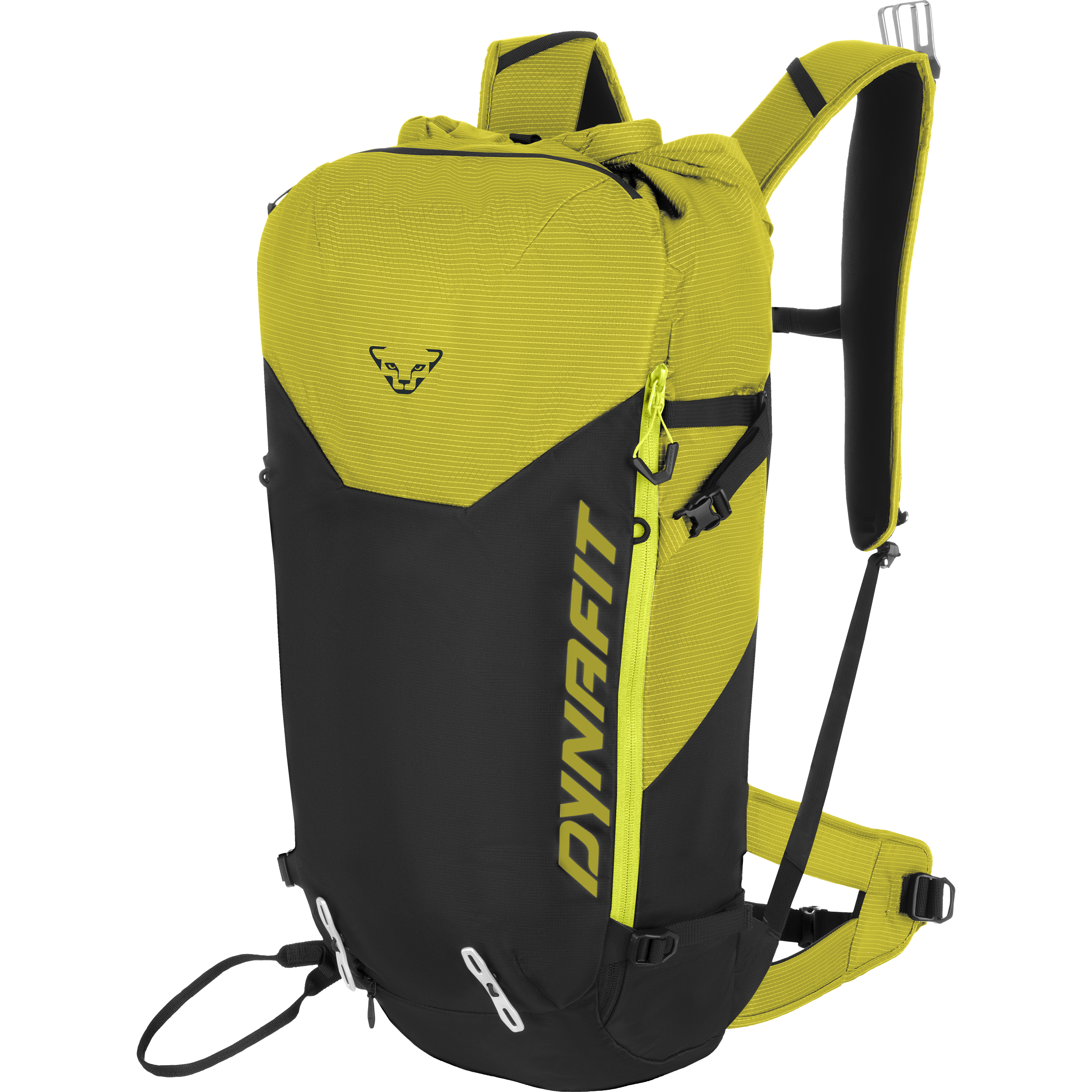 DYNAFIT haute route 山スキー ディナフィット　バックカントリ DYNAFIT 2019 ディナフィット BEAST 山スキーブーツ