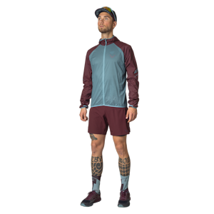 Alpine Pro 2in1 Shorts Men