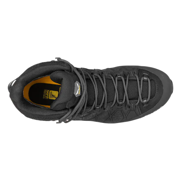 Alp Trainer 2 Mid GORE-TEX® Women's Shoe perspective_view image