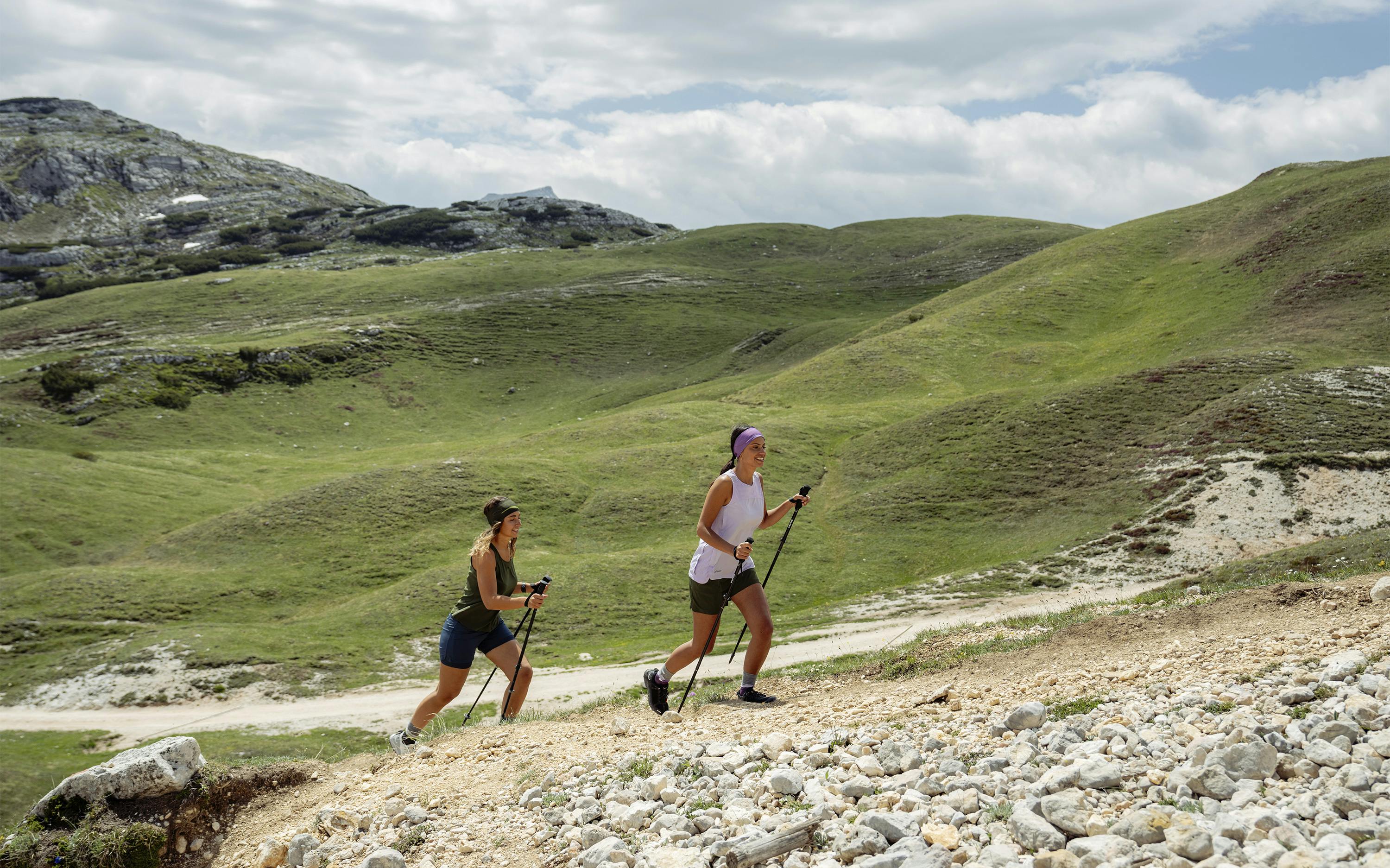 Teresa Shorts II horizontal image