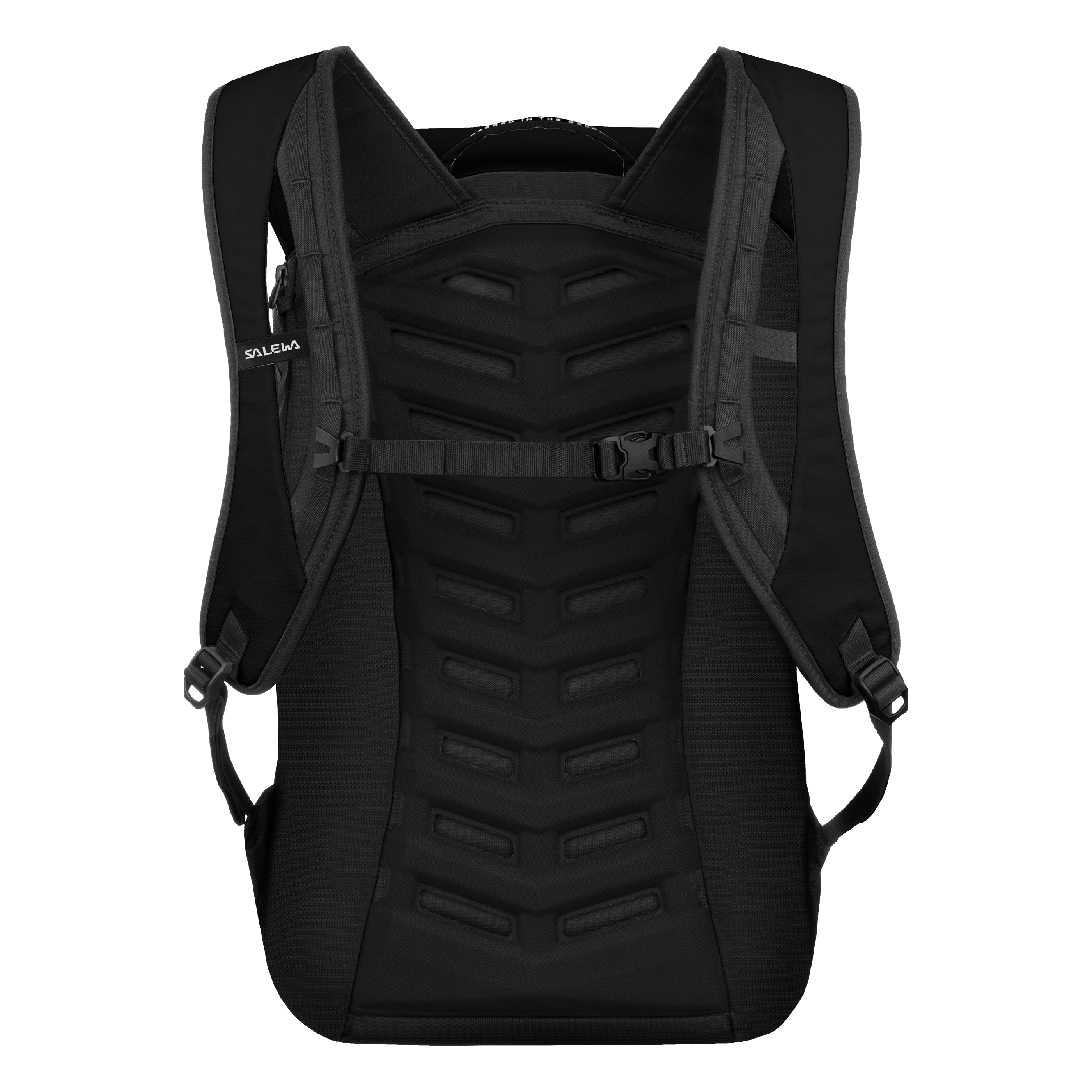 FANES 18L BACKPACK perspective_view image