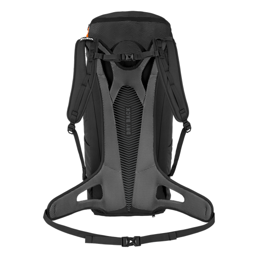 Alp Mate 26L Rucksack perspective_view image