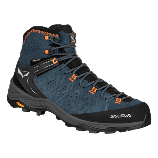 Alp Trainer 2 Mid GORE-TEX® Men's Shoe still image