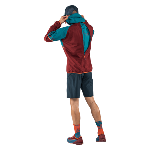 Alpine GORE-TEX Jacket Men