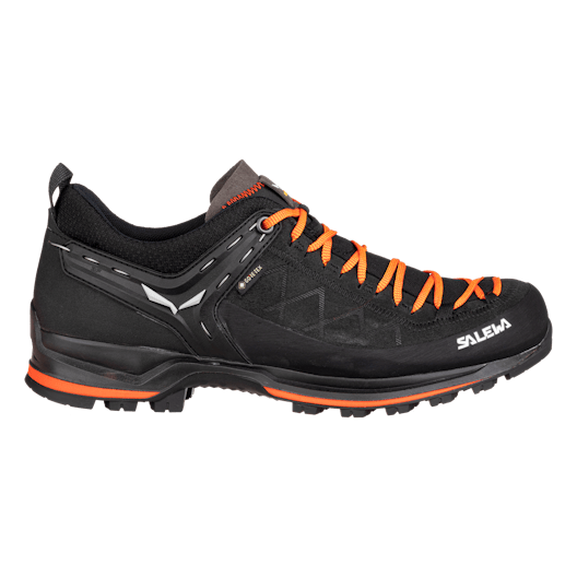 Mountain Trainer 2 GORE-TEX® Herrenschuhe perspective_view image
