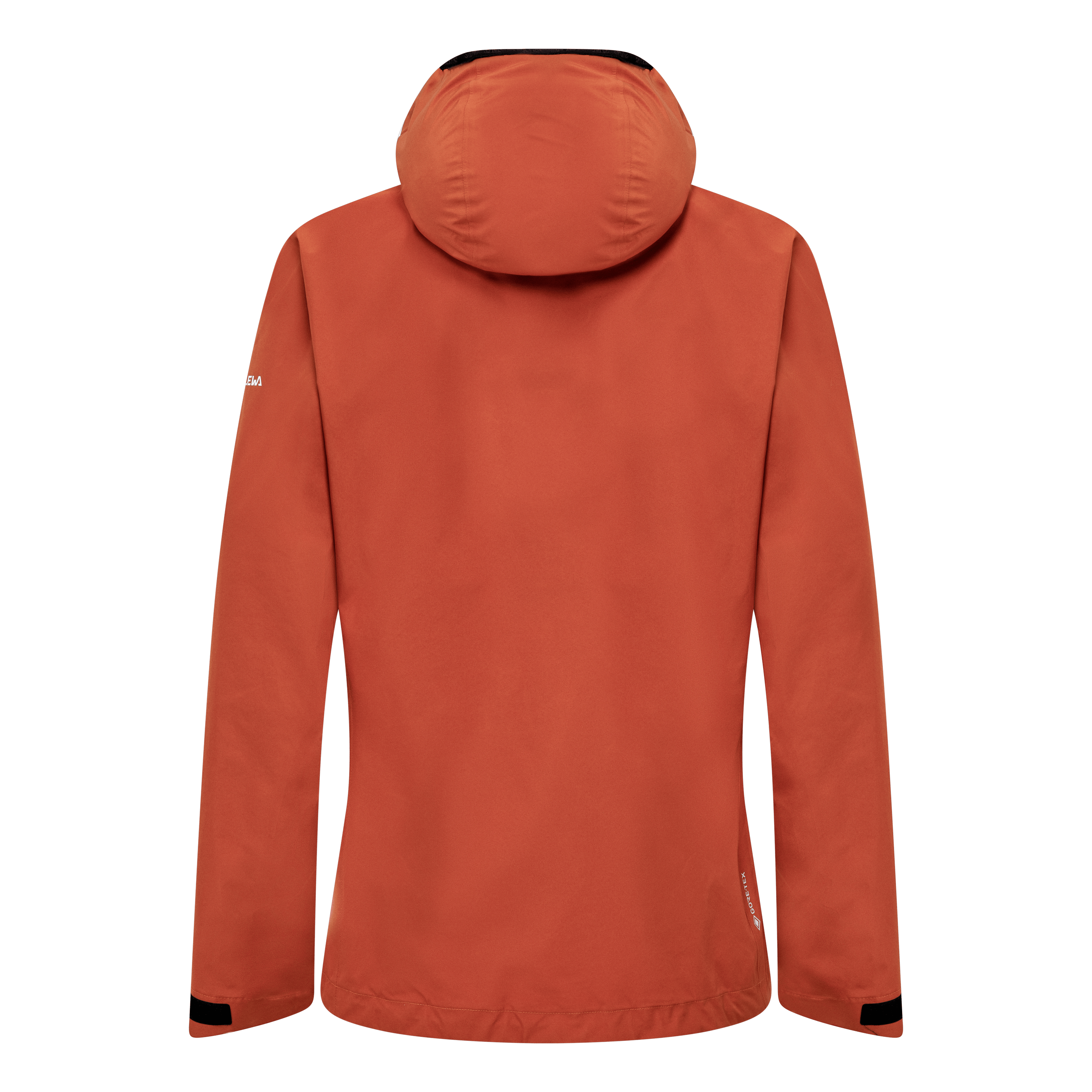 Puez GORE-TEX® 3 Layers Epe Veste Homme perspective_view image