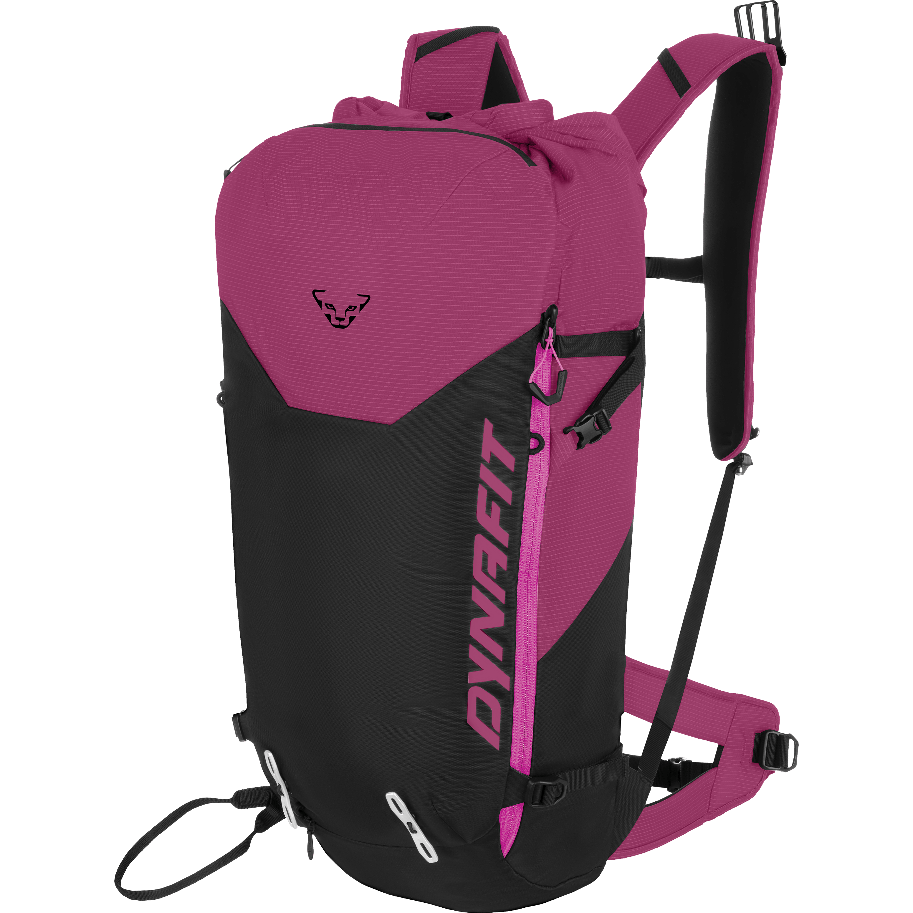 Radical 30+ Backpack Women | Dynafit® USA