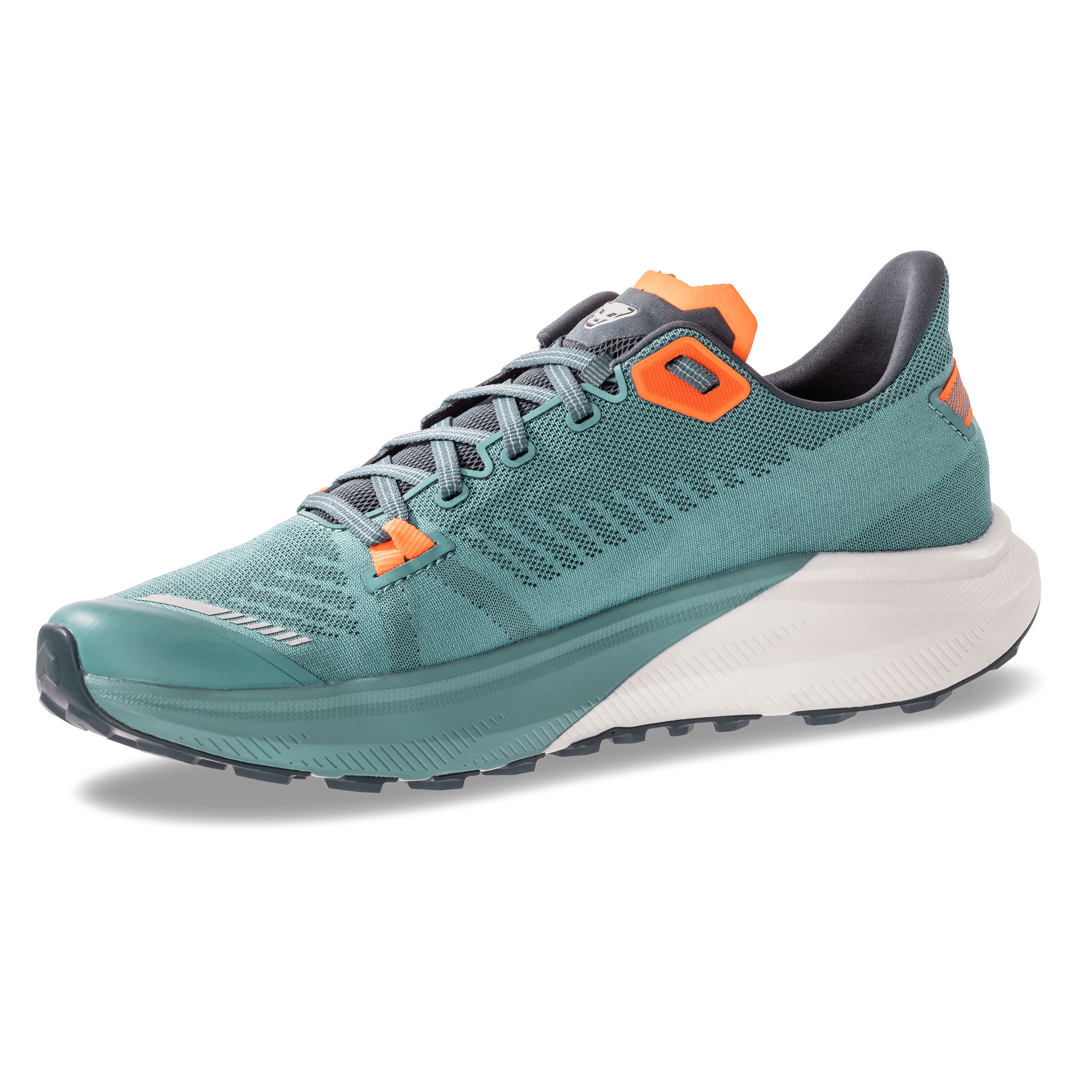 Trail Running Schuh Herren perspective_view image