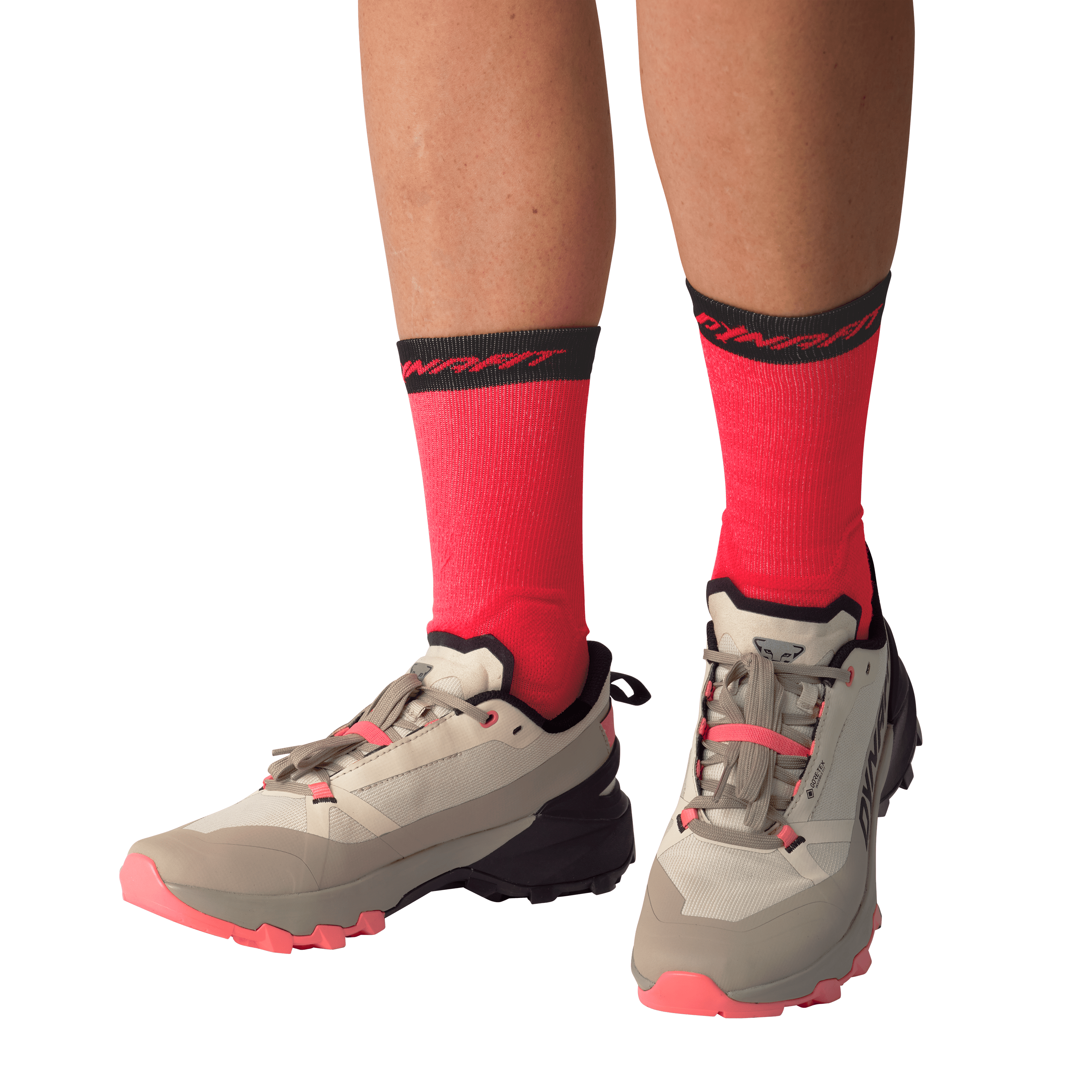 Transalper 2 GORE-TEX® Mountaineering Schuh Damen perspective_view image