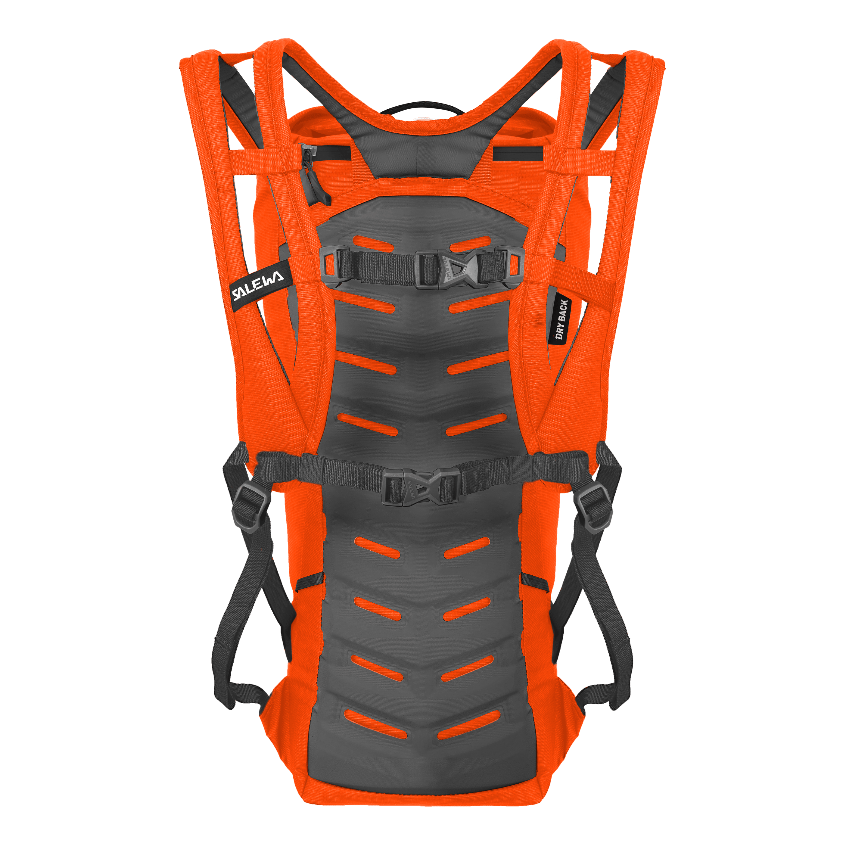Ortles Climb 18L Rucksack perspective_view image