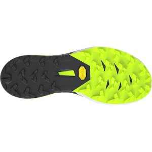 Vorschau: Alpine DNA 2 Running Shoes Unisex